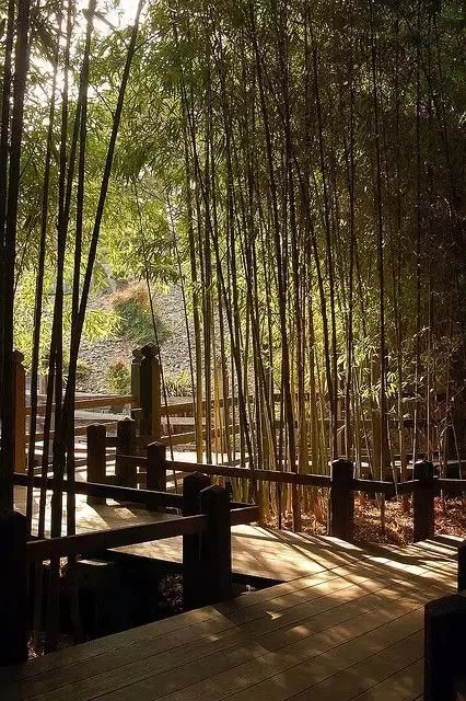 一次性竹筷